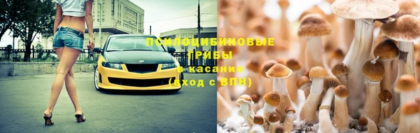 стафф Арсеньев