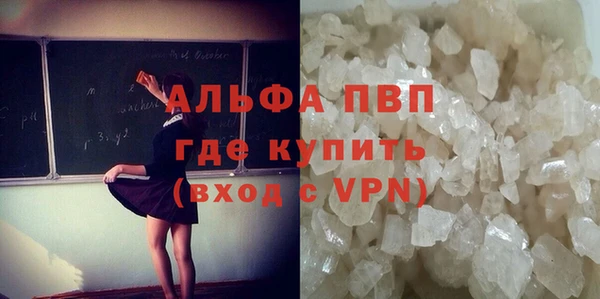 стафф Арсеньев