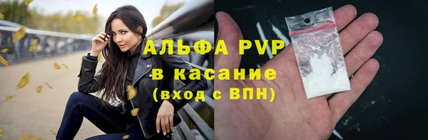 стафф Арсеньев