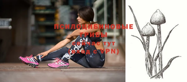 трава Армянск