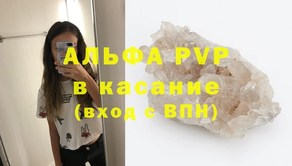 стафф Арсеньев