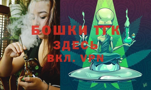 стафф Арсеньев
