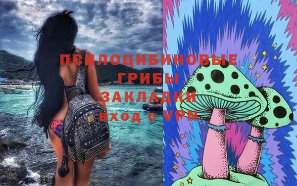 не бодяженный Аркадак