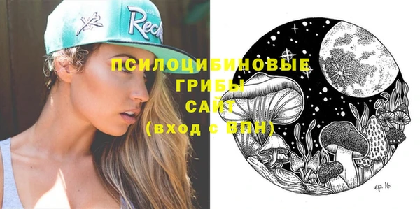 стафф Арсеньев