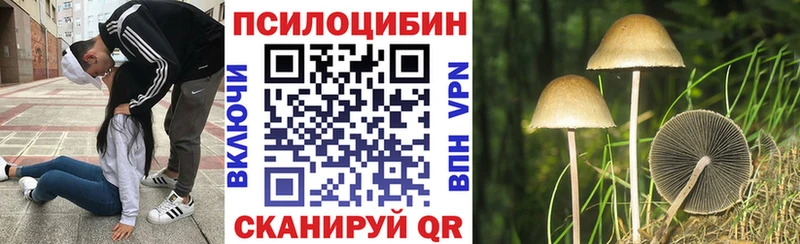 даркнет сайт  Наволоки  Галлюциногенные грибы Cubensis 